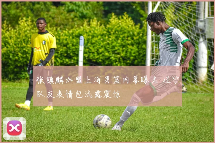 张镇麟加盟上海男篮内幕曝光 辽宁队友表情包流露震惊